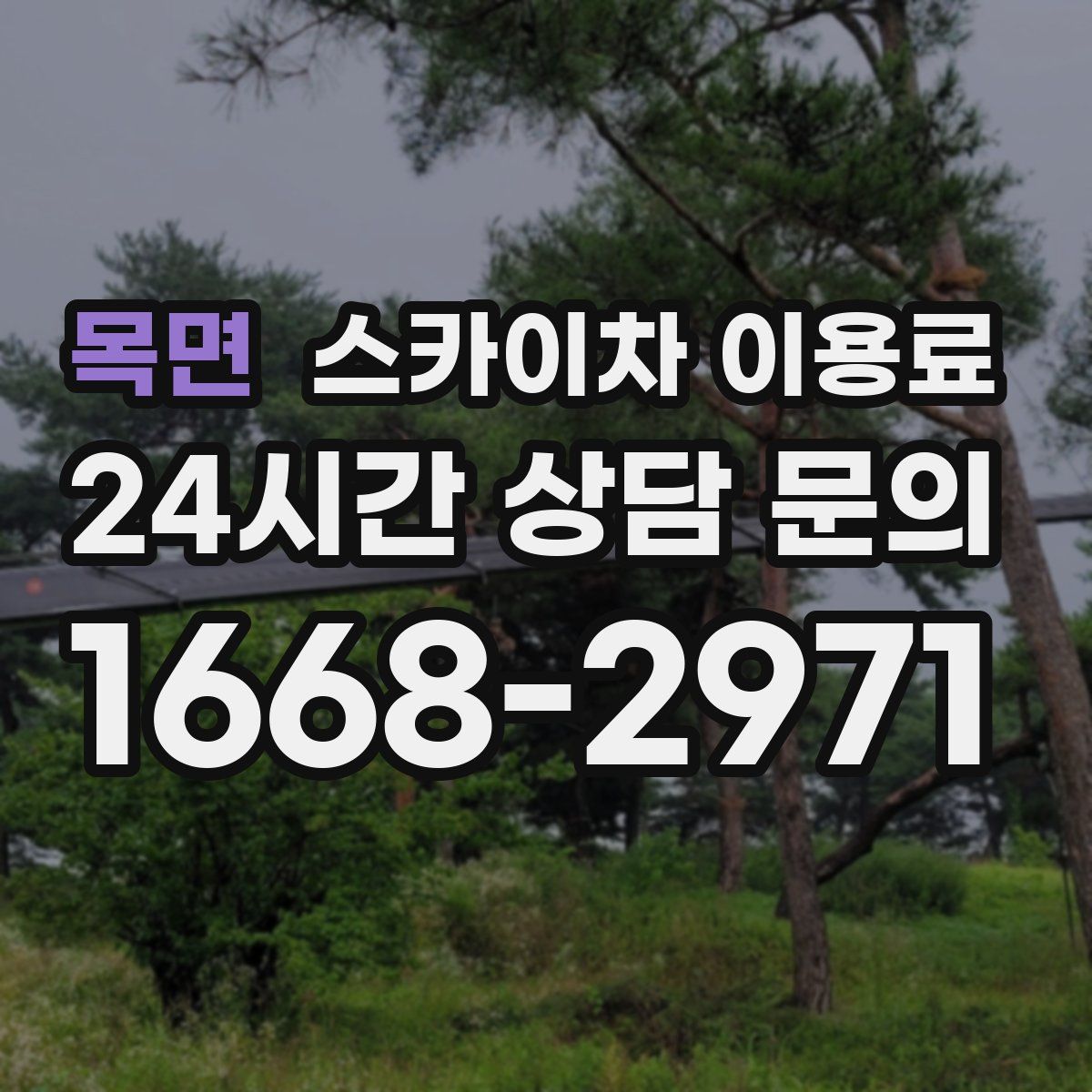 목면 스카이차 이용료