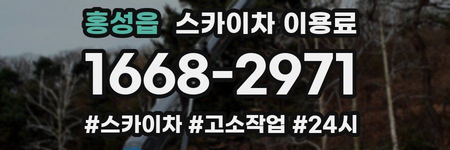 홍성읍 스카이차 이용료