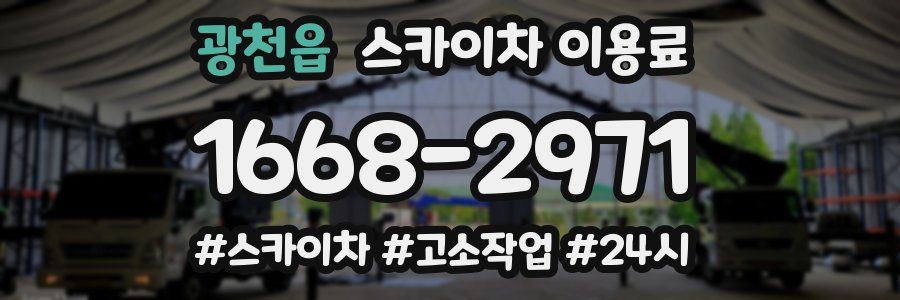 광천읍 스카이차 이용료