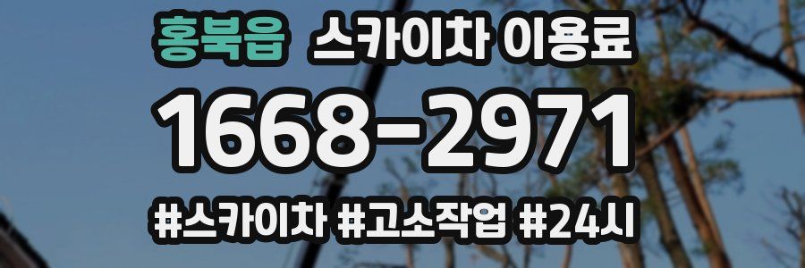 홍북읍 스카이차 이용료