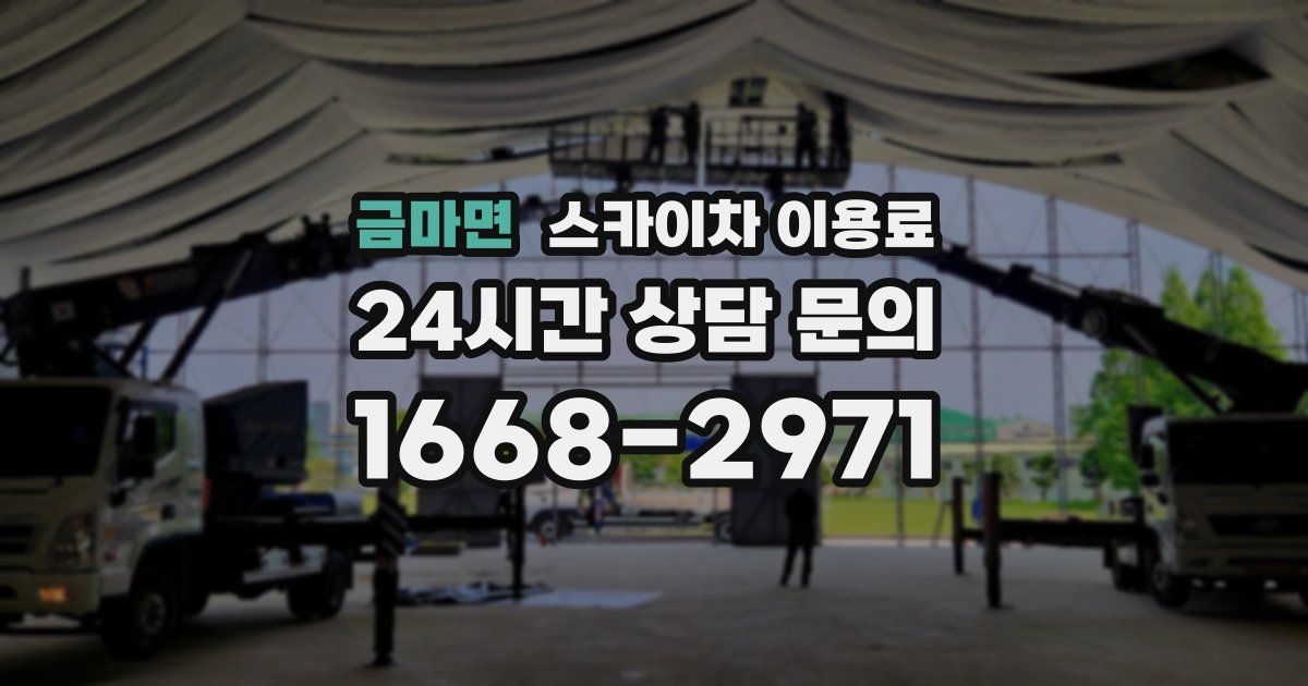 금마면 스카이차 이용료