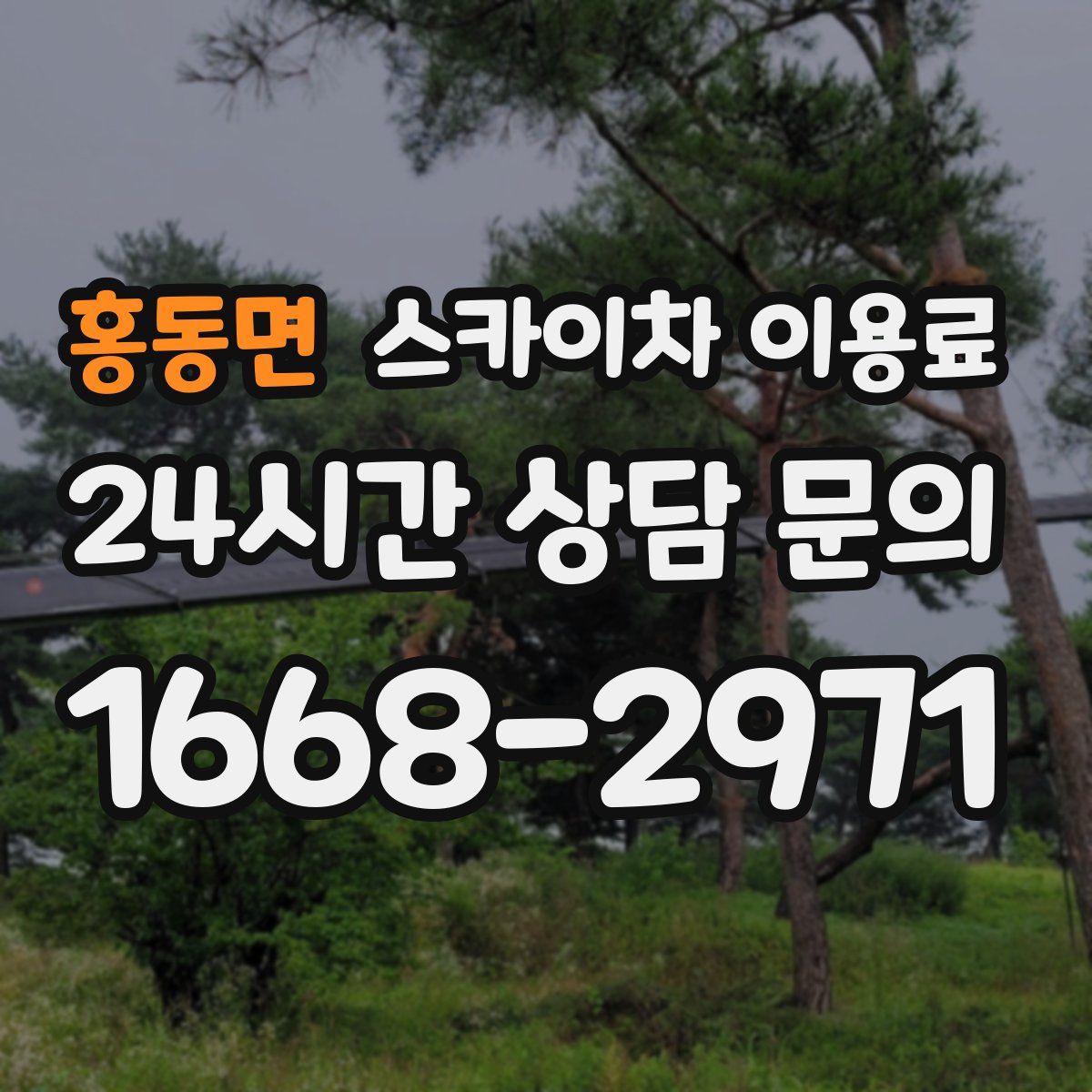 홍동면 스카이차 이용료