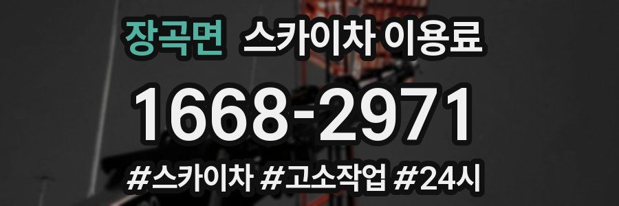 장곡면 스카이차 이용료