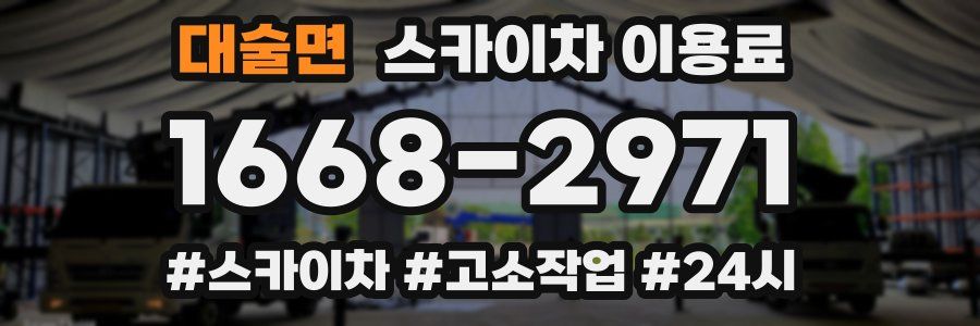 대술면 스카이차 이용료