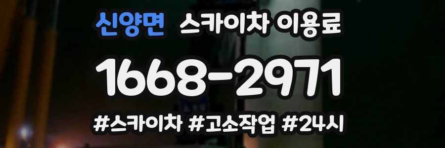 신양면 스카이차 이용료