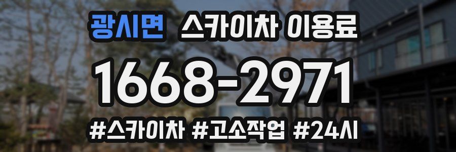 광시면 스카이차 이용료