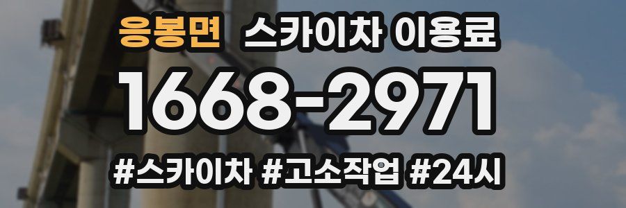 응봉면 스카이차 이용료