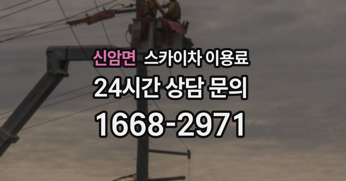 신암면 스카이차 이용료