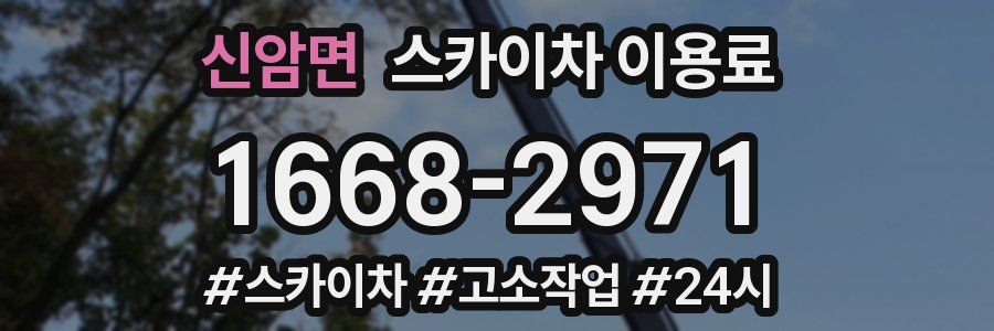 신암면 스카이차 이용료