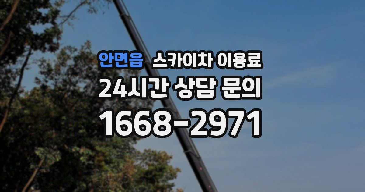 안면읍 스카이차 이용료