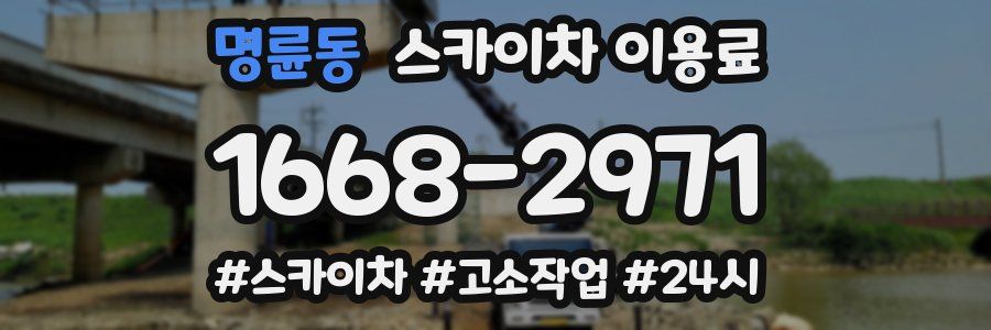 명륜동 스카이차 이용료