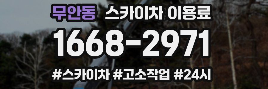 무안동 스카이차 이용료