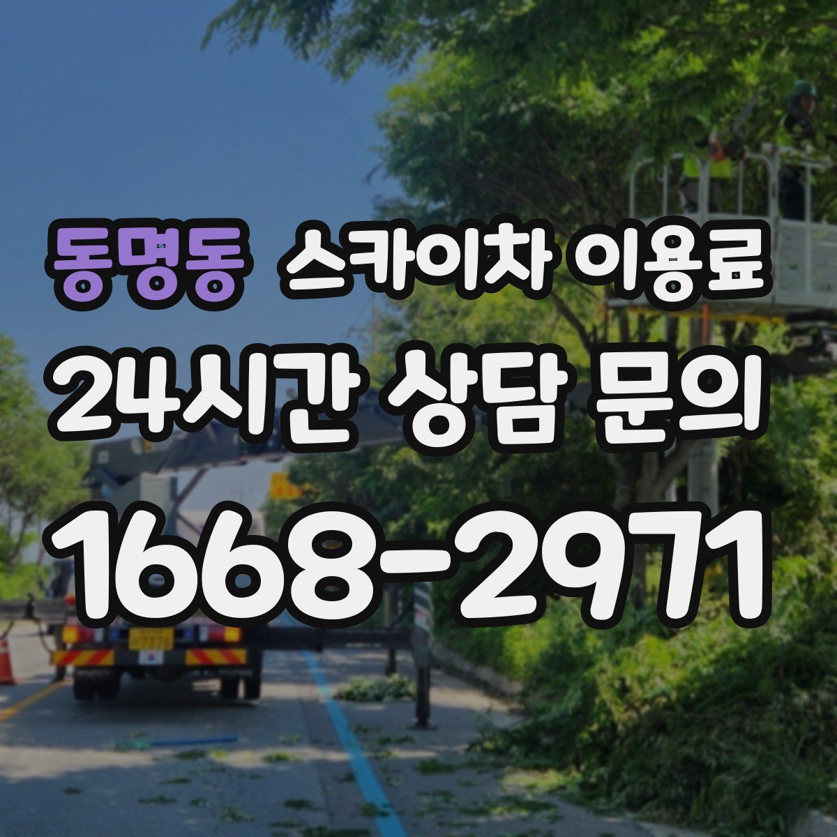 동명동 스카이차 이용료