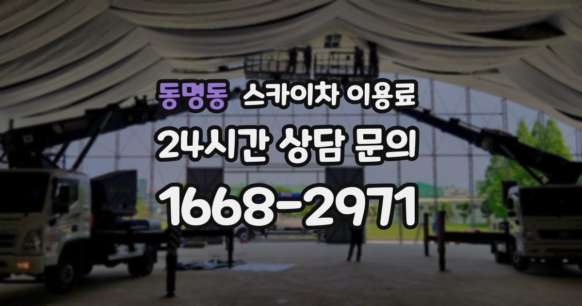 동명동 스카이차 이용료