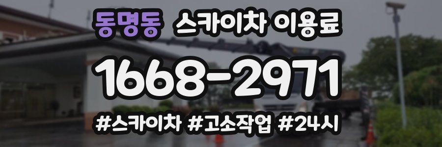 동명동 스카이차 이용료