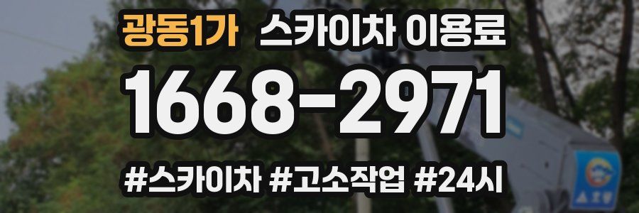 광동1가 스카이차 이용료
