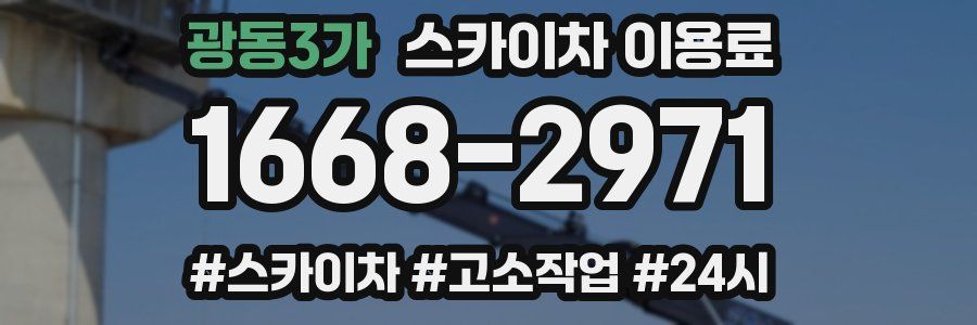 광동3가 스카이차 이용료