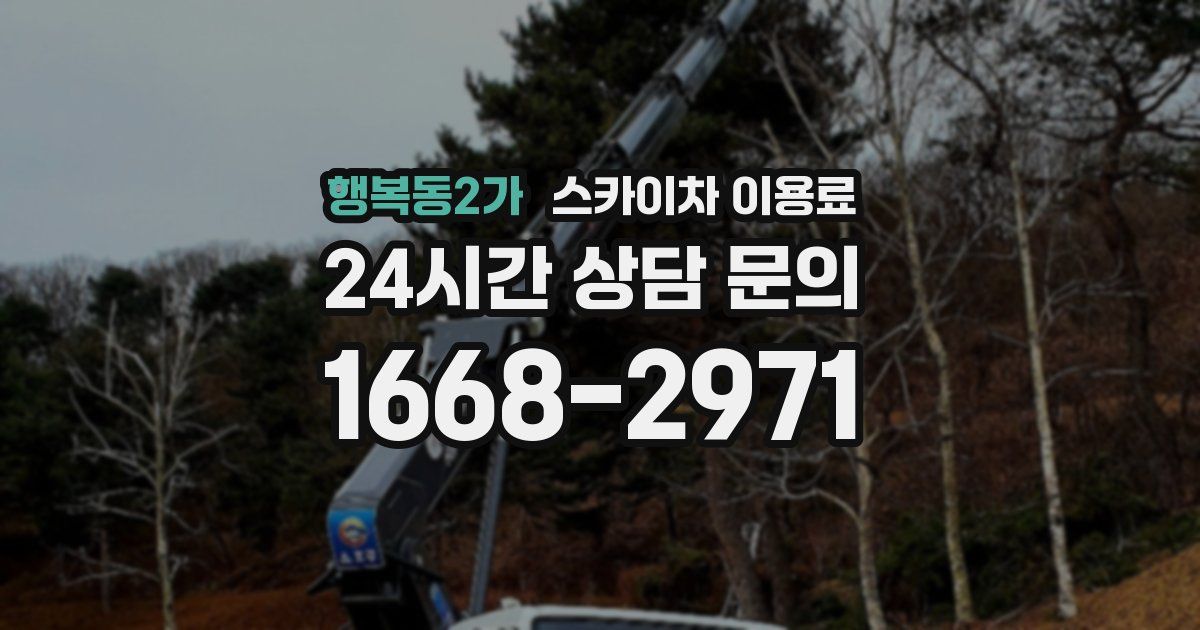 행복동2가 스카이차 이용료