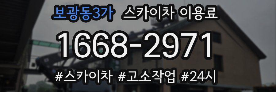 보광동3가 스카이차 이용료