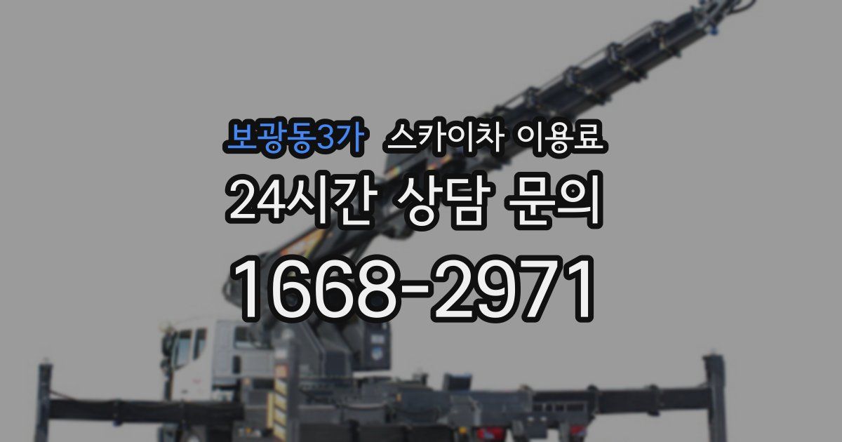 보광동3가 스카이차 이용료