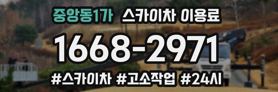 중앙동1가 스카이차 이용료