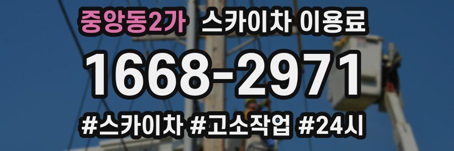 중앙동2가 스카이차 이용료