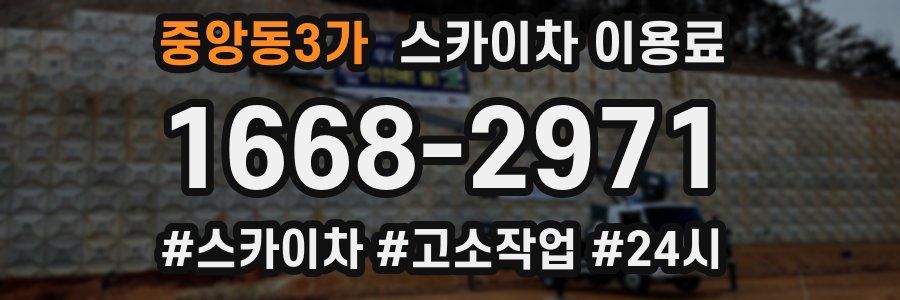 중앙동3가 스카이차 이용료