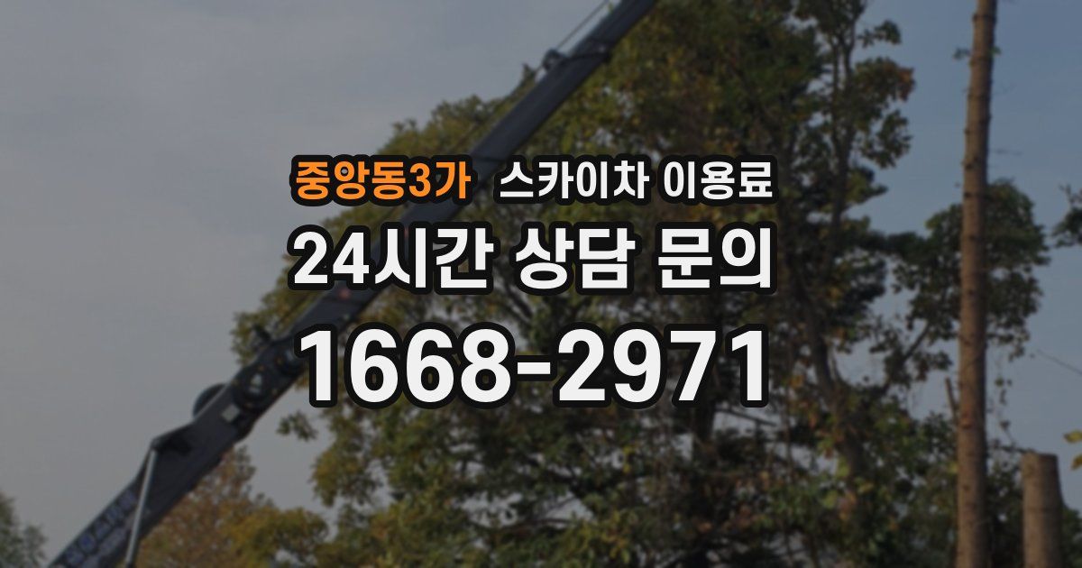 중앙동3가 스카이차 이용료