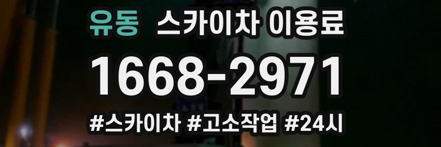 유동 스카이차 이용료
