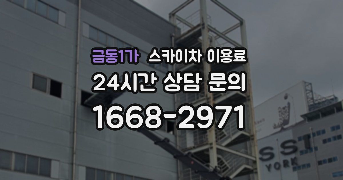 금동1가 스카이차 이용료