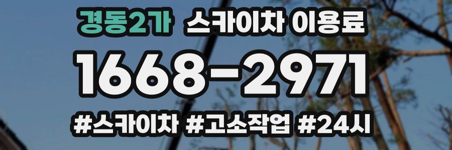 경동2가 스카이차 이용료