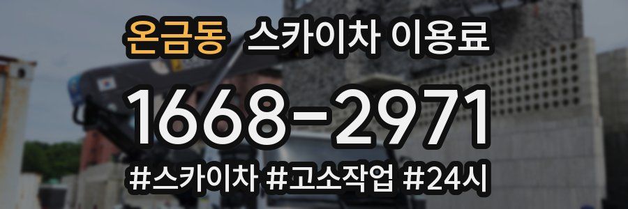 온금동 스카이차 이용료