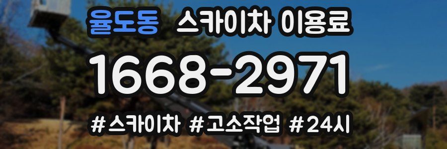 율도동 스카이차 이용료