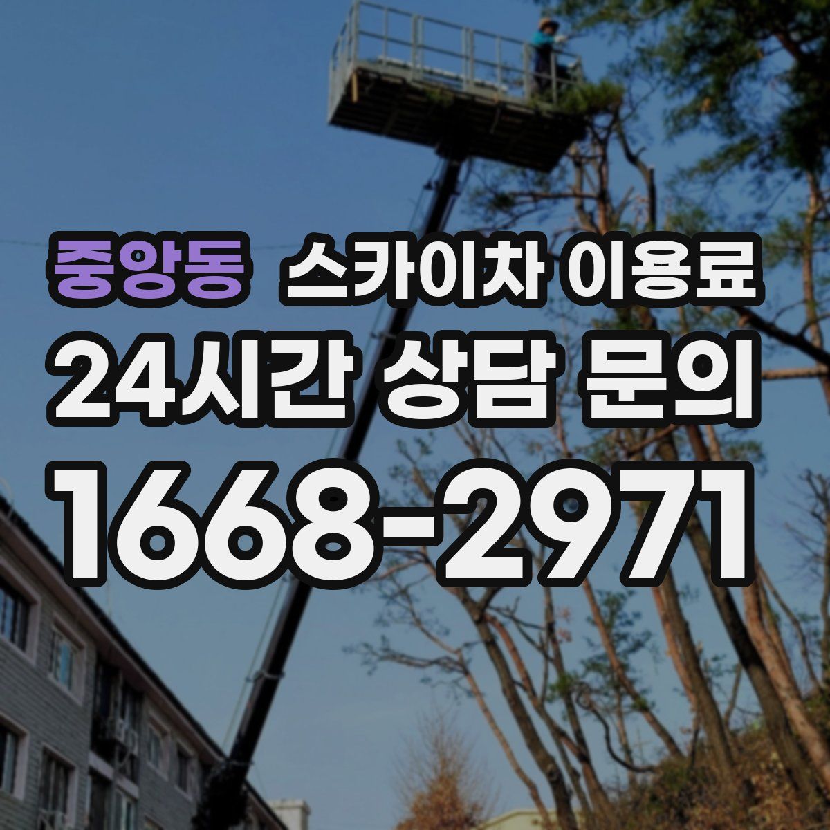 중앙동 스카이차 이용료