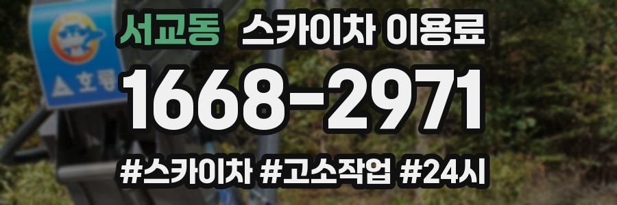 서교동 스카이차 이용료