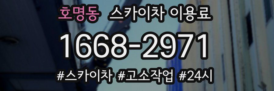 호명동 스카이차 이용료