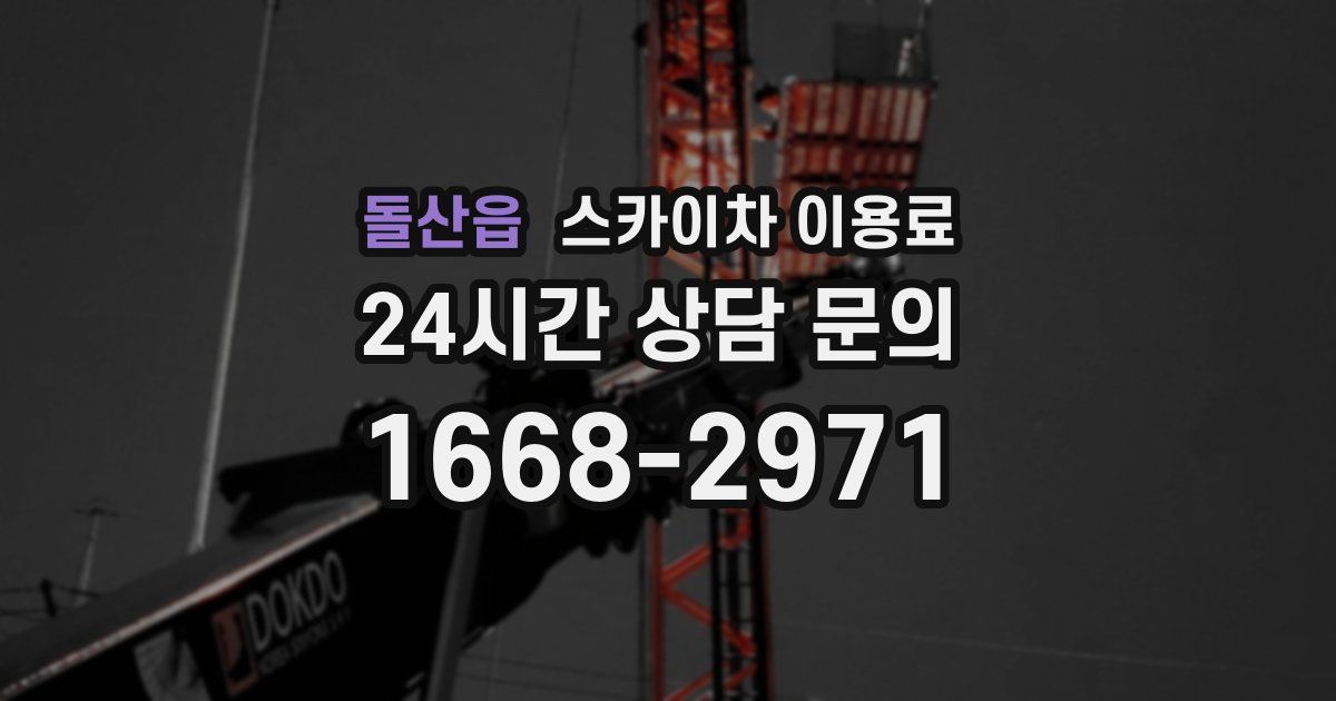 돌산읍 스카이차 이용료