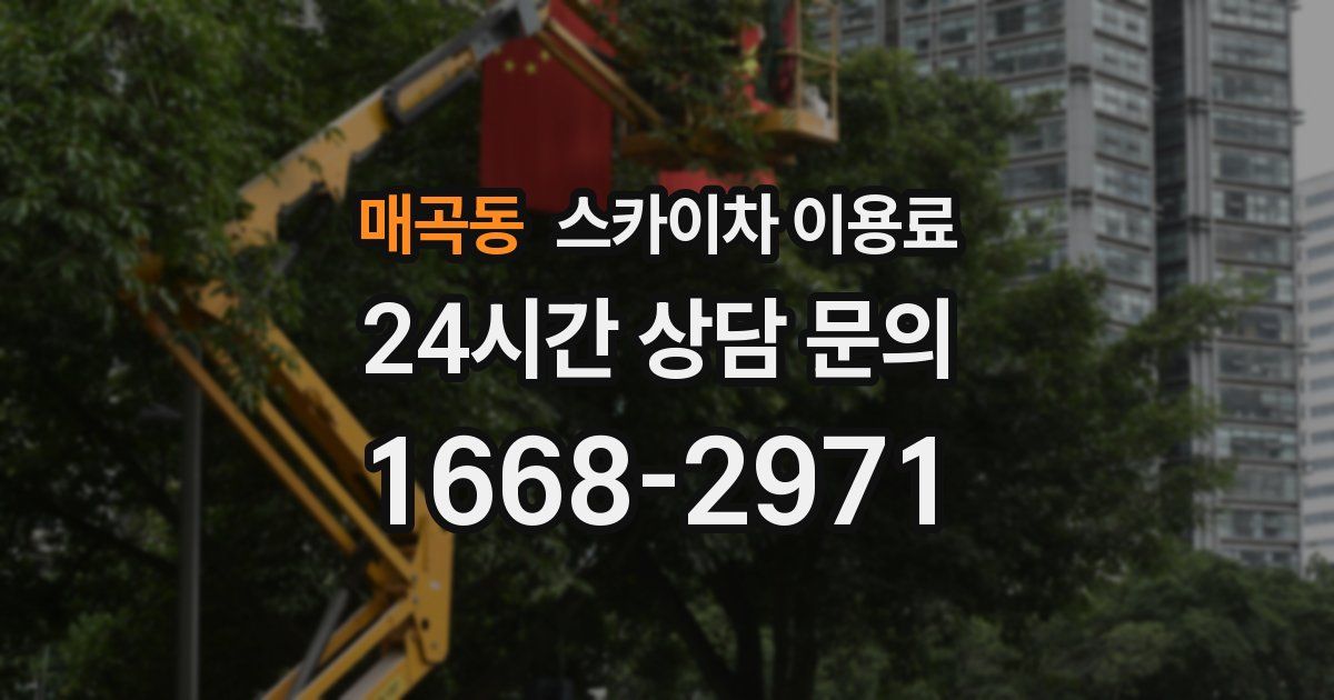 매곡동 스카이차 이용료