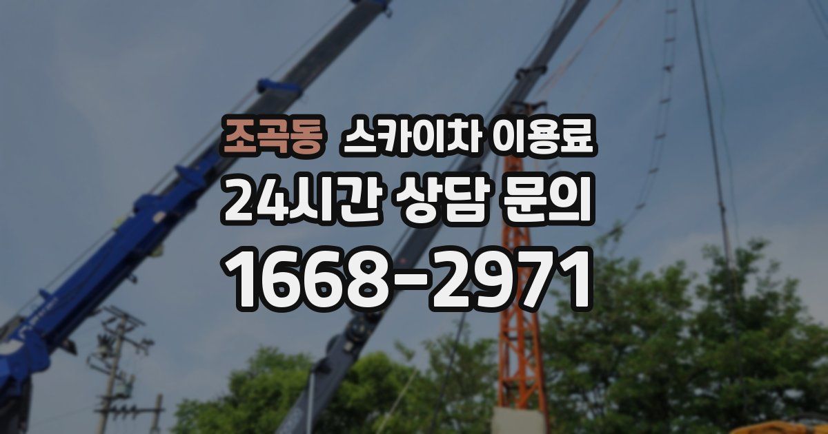 조곡동 스카이차 이용료