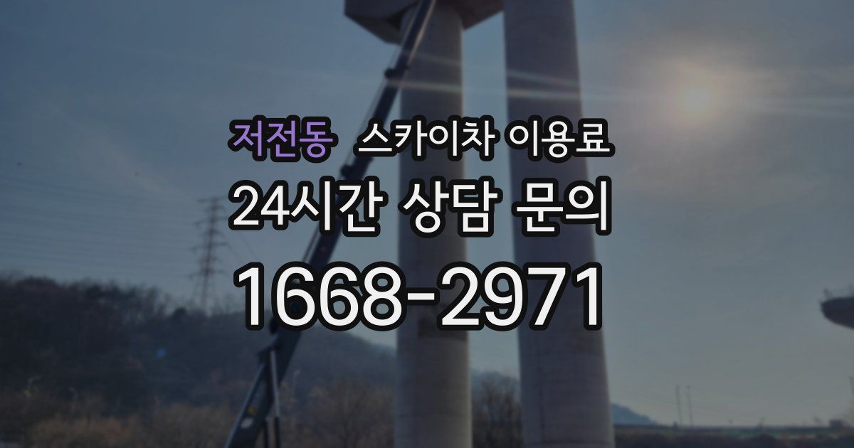 저전동 스카이차 이용료