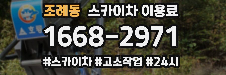 조례동 스카이차 이용료