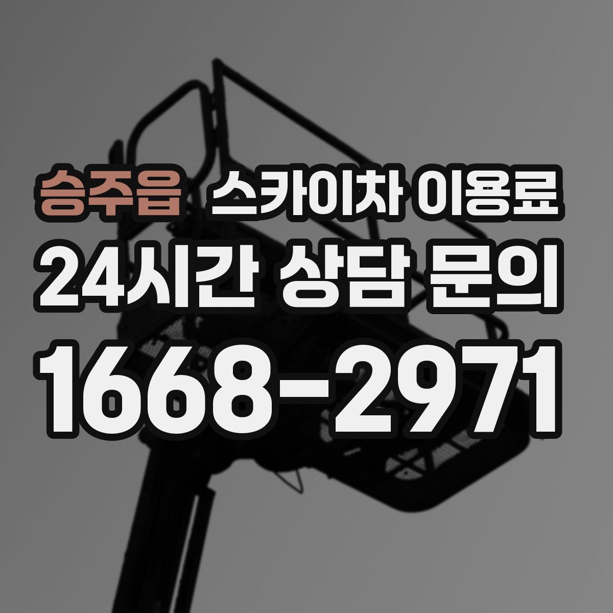 승주읍 스카이차 이용료