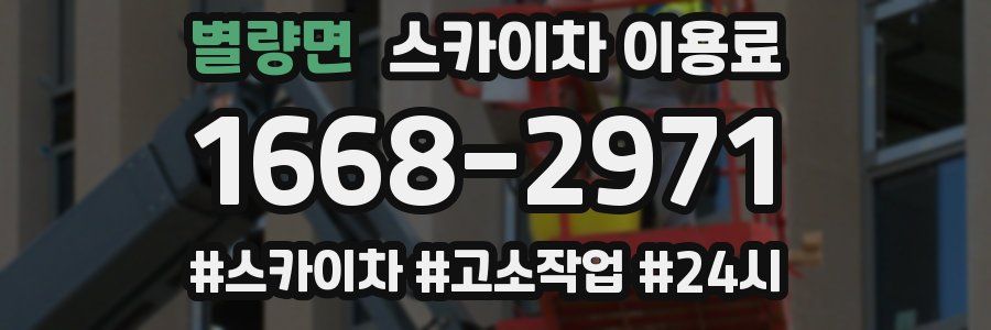 별량면 스카이차 이용료