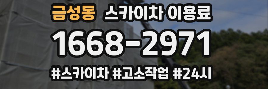 금성동 스카이차 이용료
