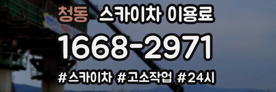 청동 스카이차 이용료