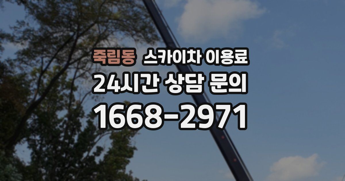 죽림동 스카이차 이용료