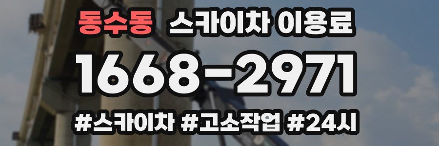 동수동 스카이차 이용료