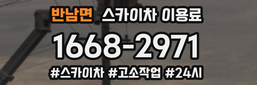 반남면 스카이차 이용료