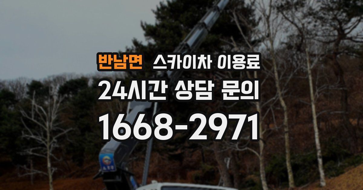 반남면 스카이차 이용료