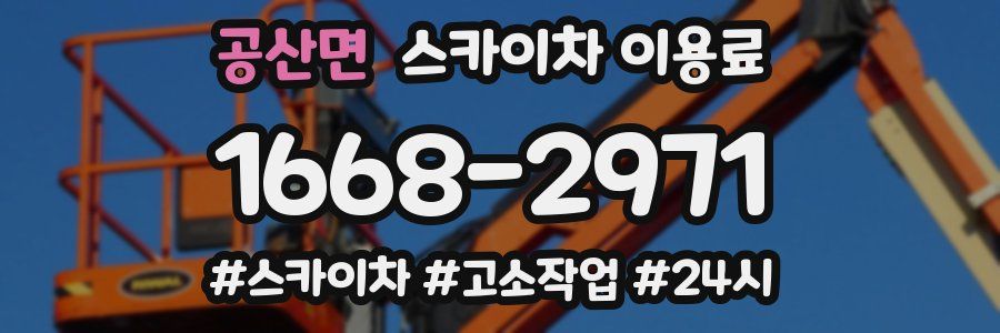 공산면 스카이차 이용료